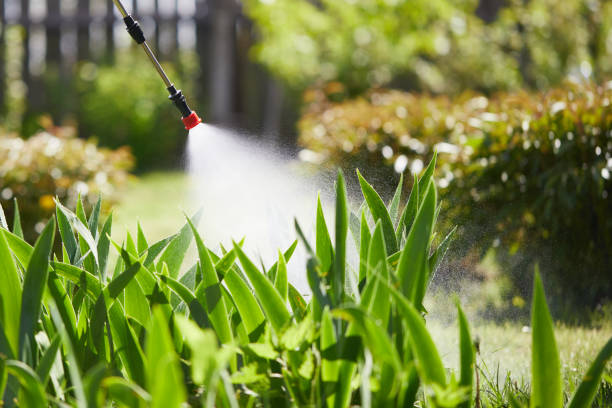 24/7 Emergency Cockroach Control experts in Pelham, GA
