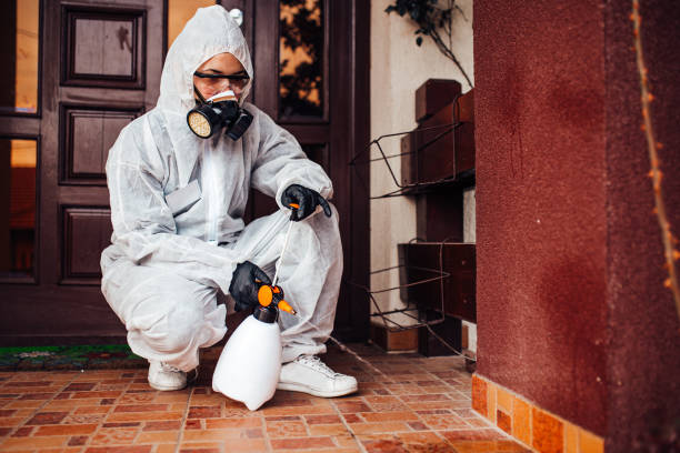 Reliable Cockroach Control contractor in Pelham, GA by Nex Pest Control